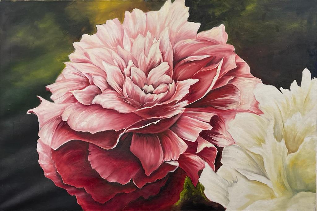 Peony, in Full Bloom